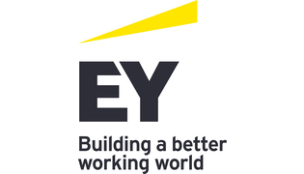 Senior Associates – Audit- Job Ref. NZ/EY/0502/2513